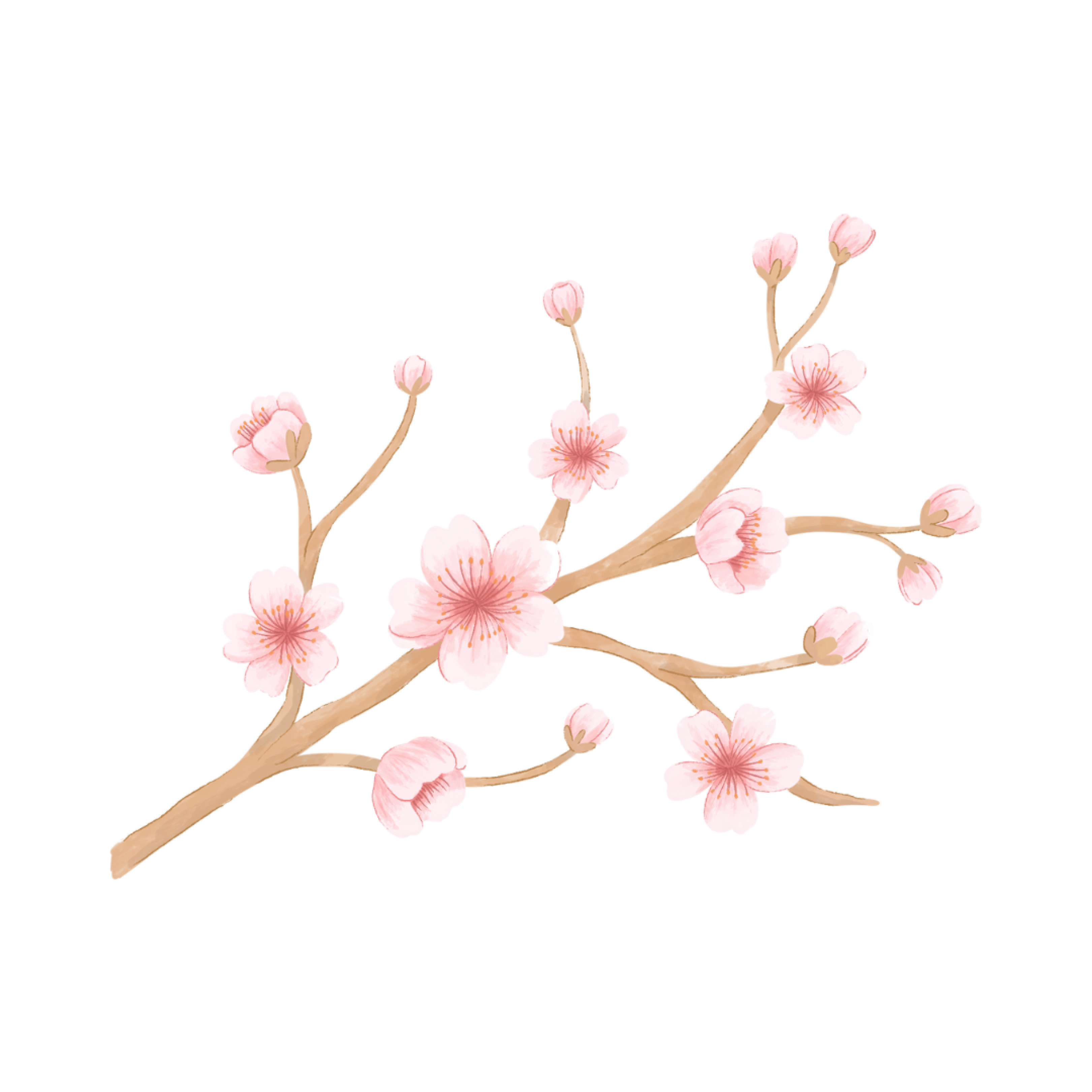 Left Branch Pattern
