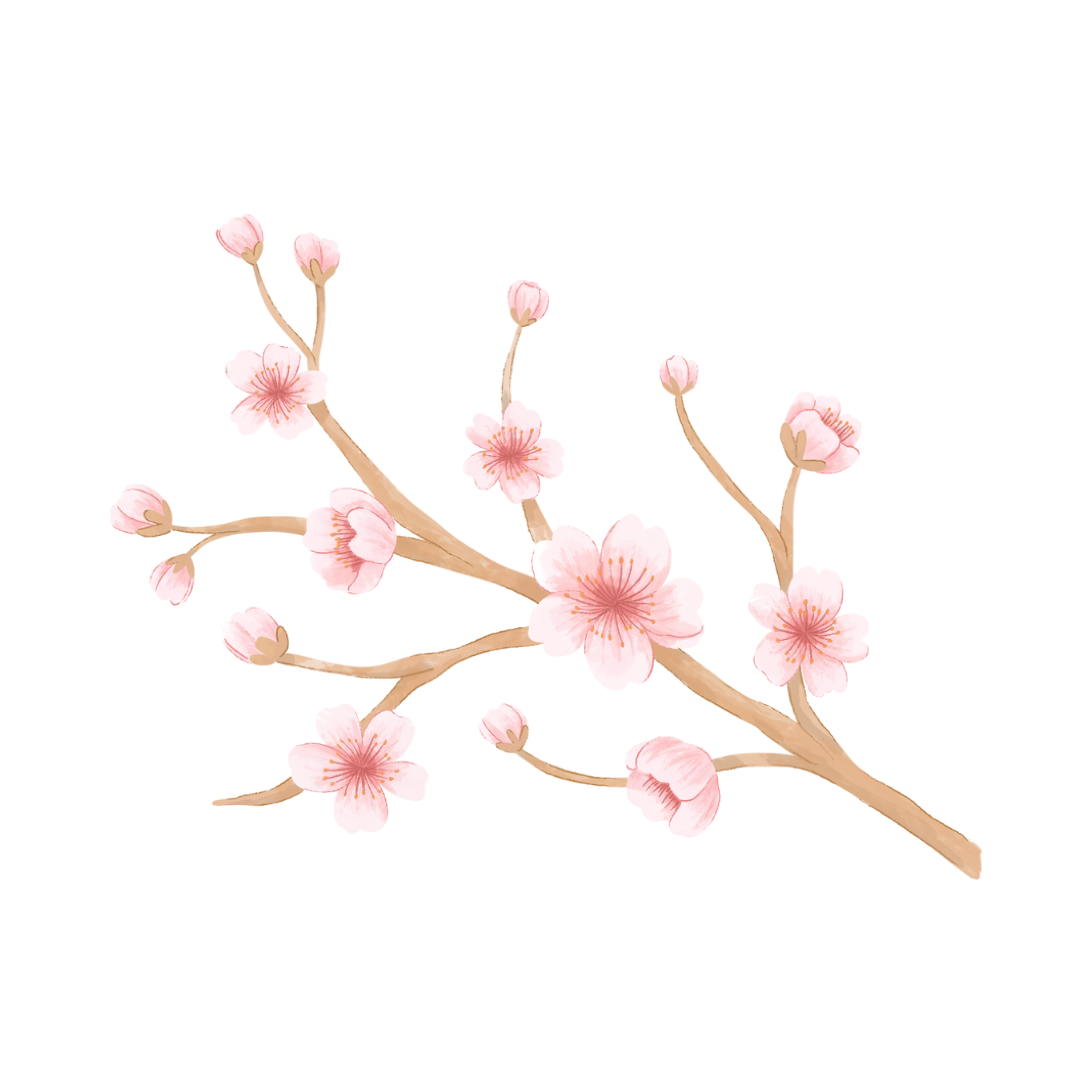 Right Branch Pattern